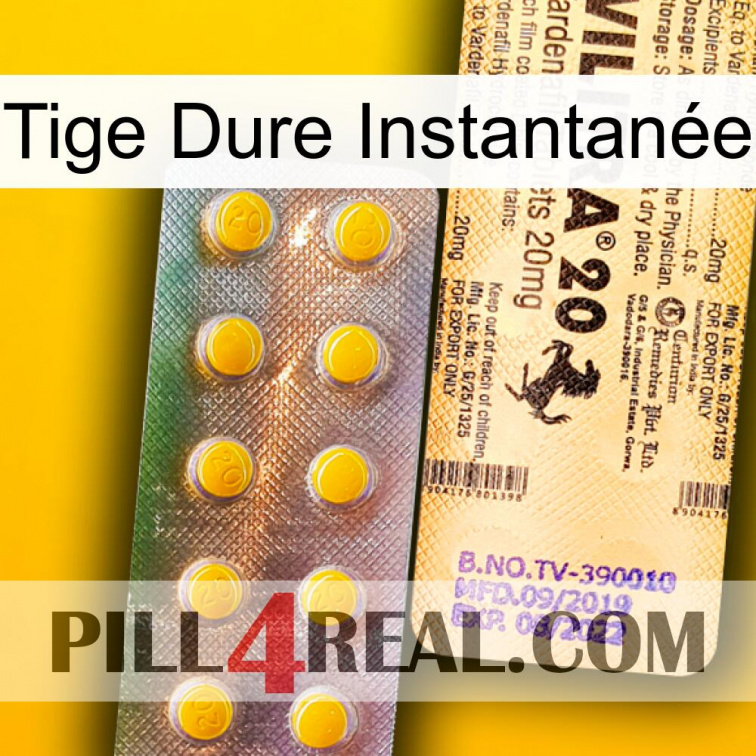 Tige Dure Instantanée new06